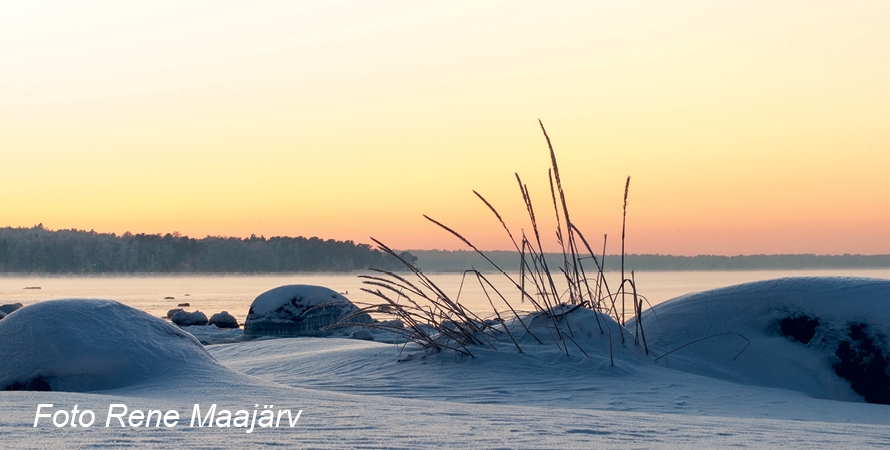 Eesti 100Fotograaf: Rene Maajärv